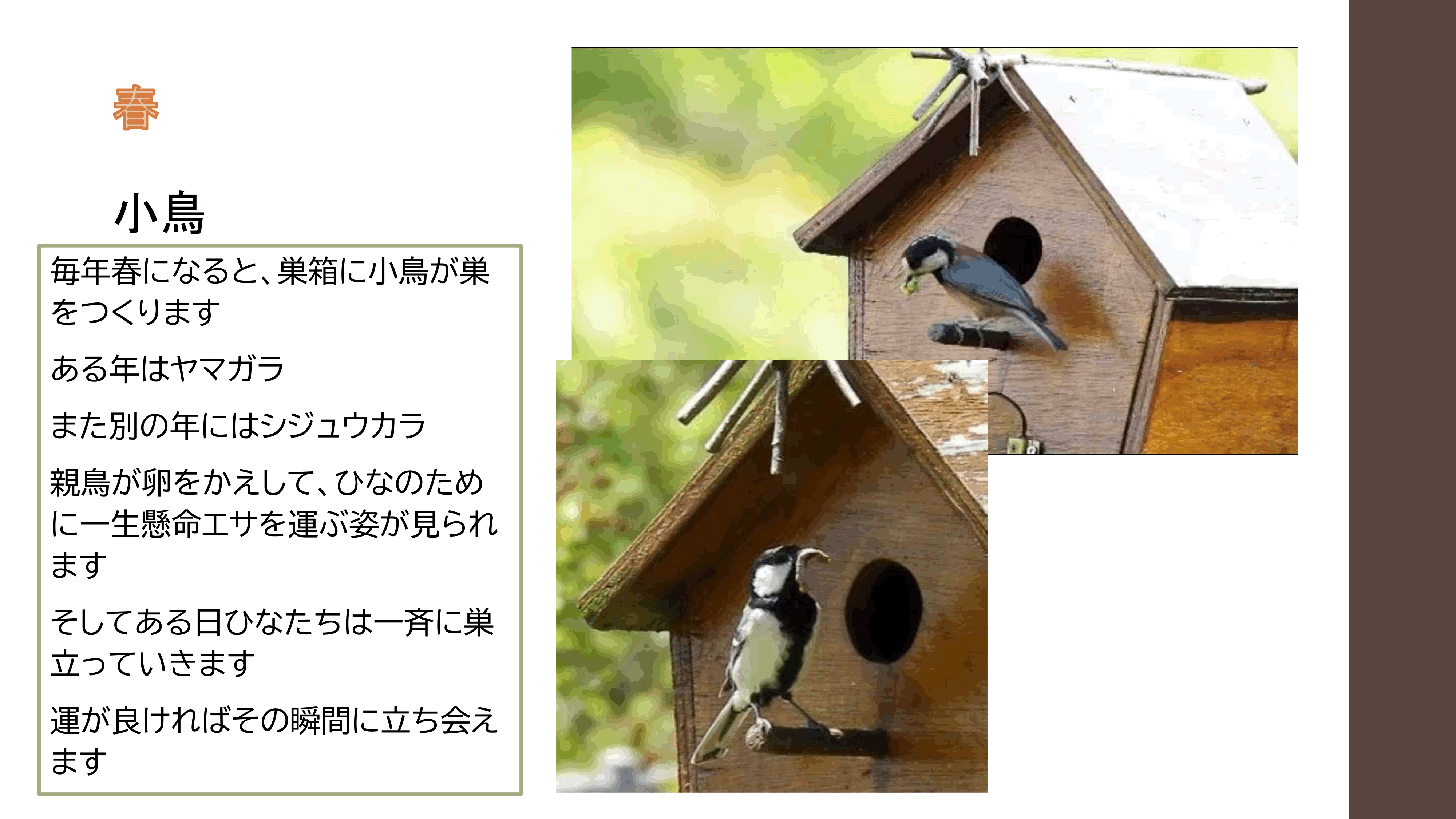 リバージュの楽しみ方p25.gif
