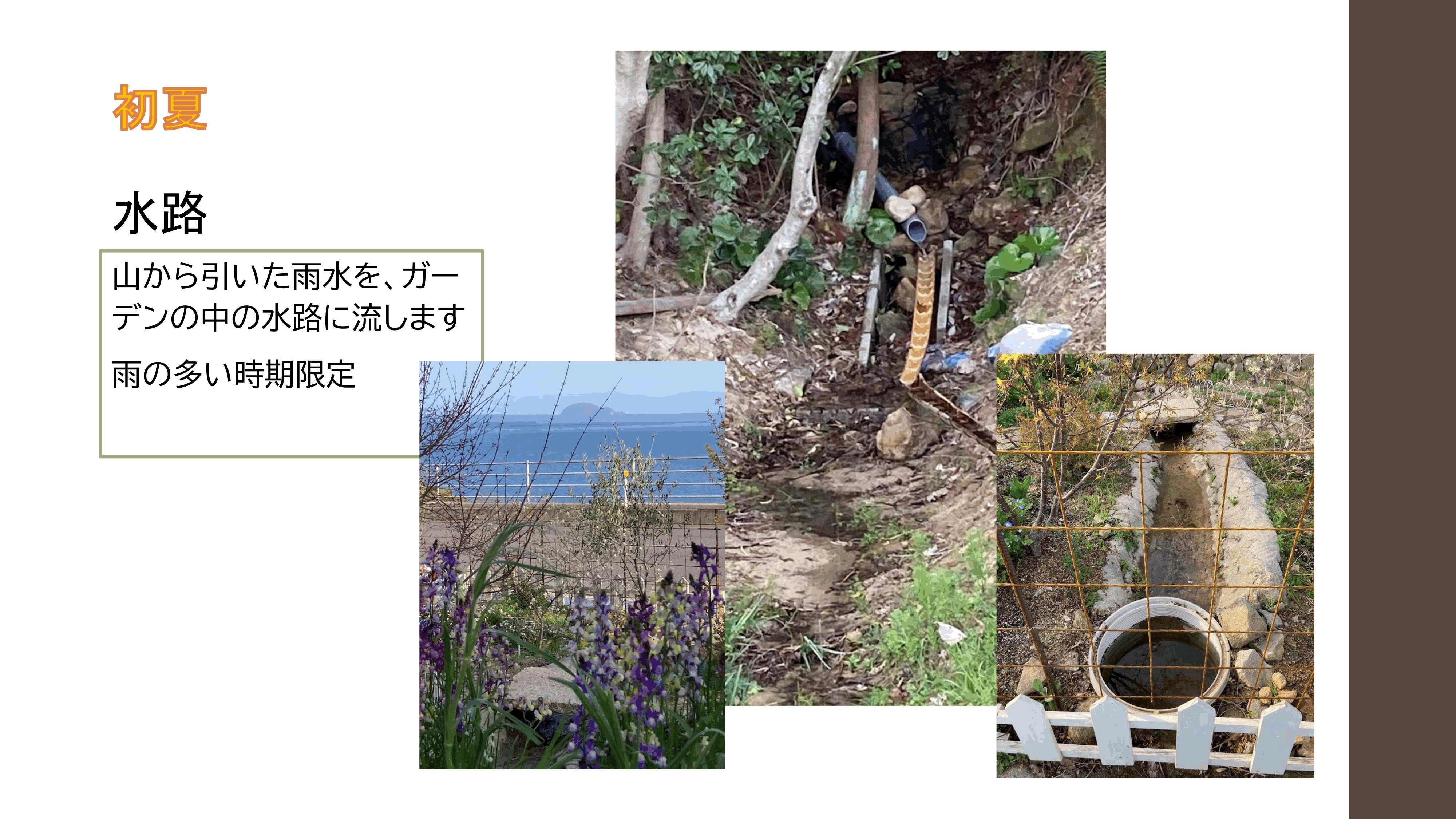 リバージュの楽しみ方p29.gif