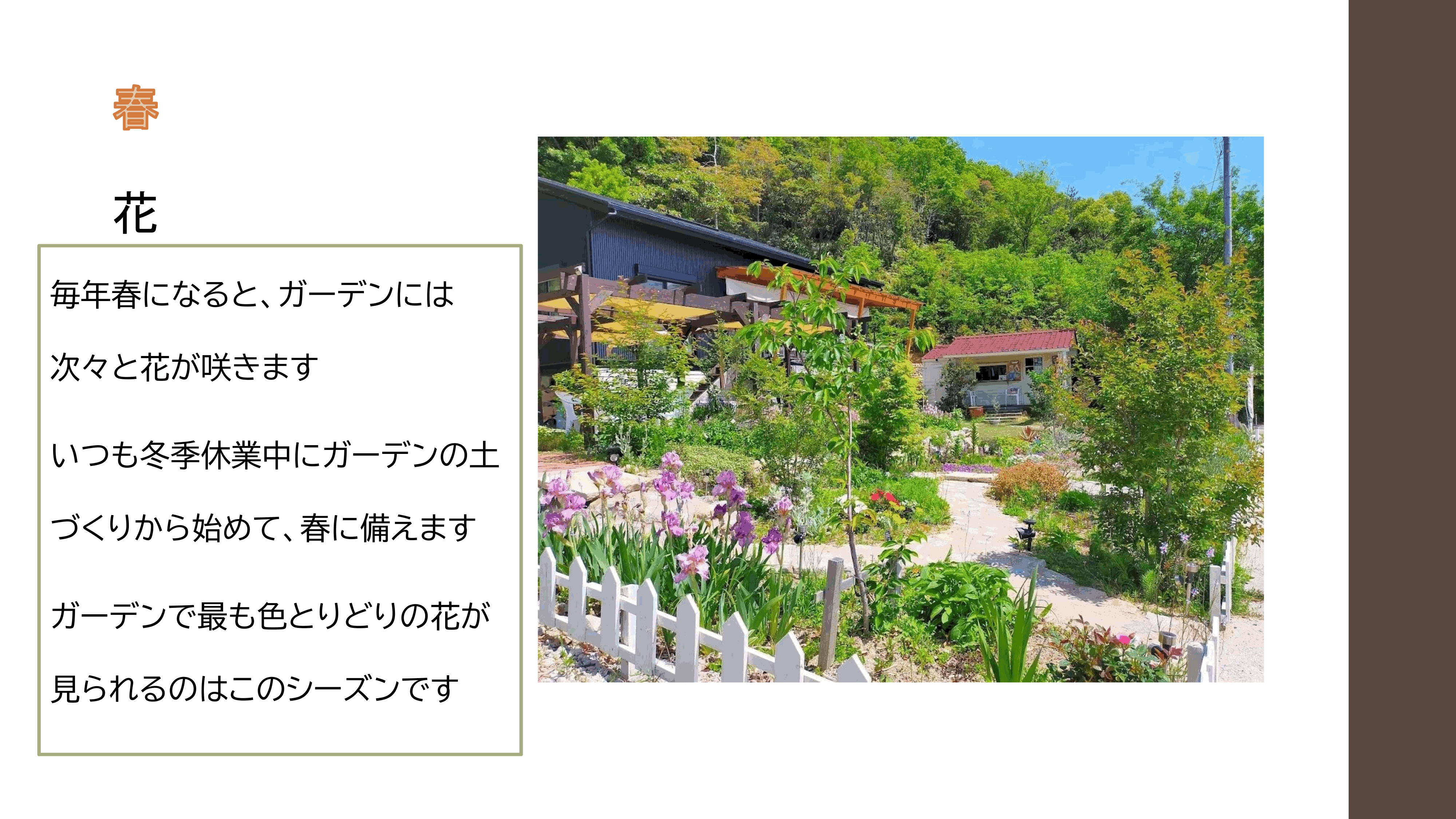 リバージュの楽しみ方p26.gif