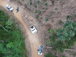 Guararema, SP: Polícia Militar impede furto de madeira avaliada em aproximadamente R$ 4,5 mil