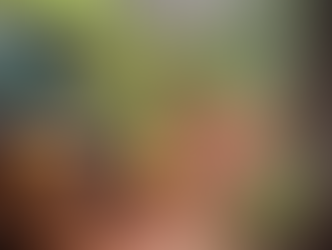 Salesópolis registra a maior chuva do verão de 2026