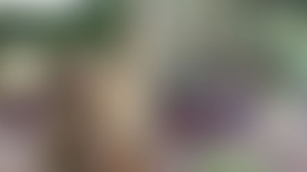 Passarinhando no Museu de Energia da Estância Turística de Salesópolis