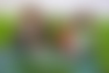 Dia da família na EMEF Professora Sônia Maria da Fonseca