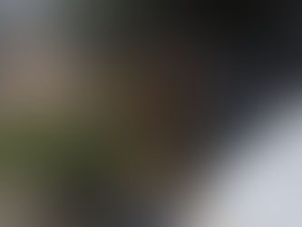 Biritiba Mirim, SP: Polícia Militar prende homem que atropelou criança no Jardim dos Eucaliptos