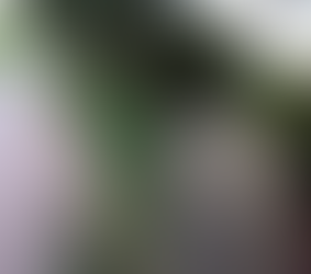 População pede melhorias em via pública - 1