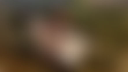 FESTA NA ESTÂNCIA: CORINTHIANS CAMPEÃO PAULISTA 2019