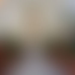 Domingo de Ramos em Mogi das Cruzes, SP