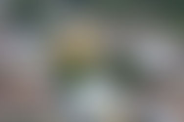 Recapeamento para diversas Ruas da Estância