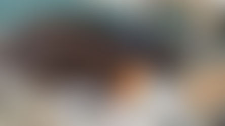 SOS animais de rua de Salesópolis