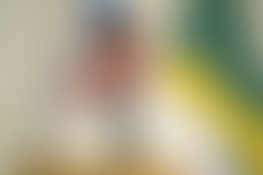 Vereador Nei solicita computadores para médicos