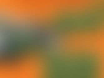 Bushcare Updates 2026