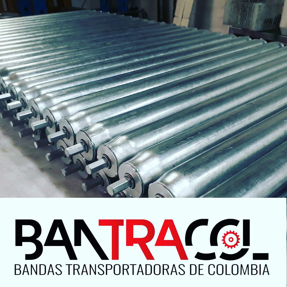 Rodillo galvanizado 1,9 eje hezagono par