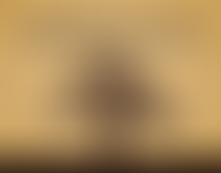 Genealogia.org.mx 36416 Datos de Wikipedia