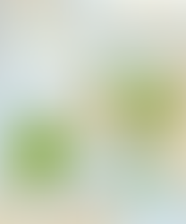 Porqué si es Latinoamérica y no Germanoamérica?