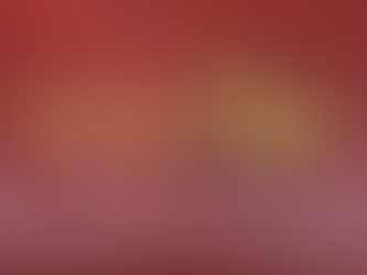 LOS INDIOS CONQUISTADORES