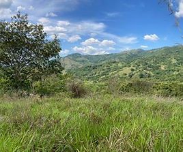 Search for Land in Guanacaste