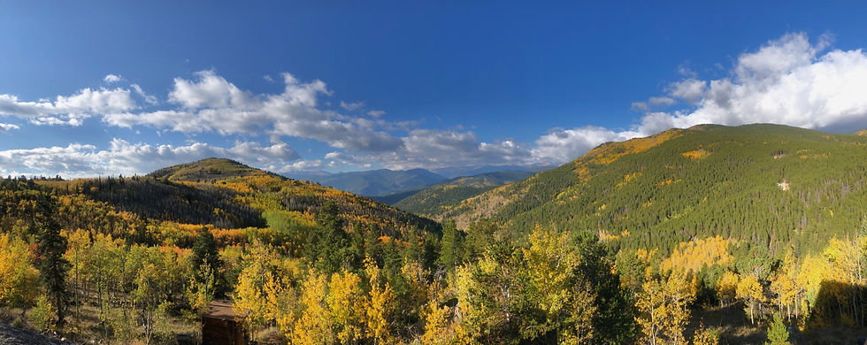 Fall View from House