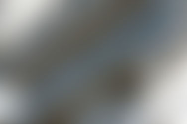 tribunal correctionnel