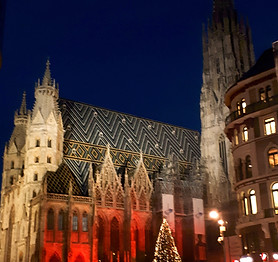 Vienna_StStephans-2_edited.jpg