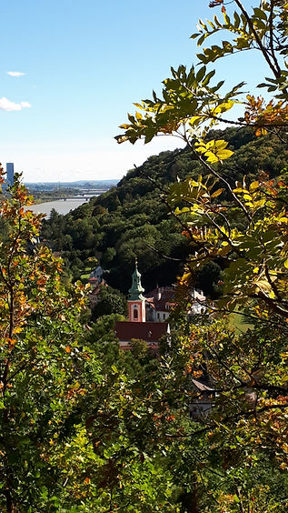 ViennaWineCountry-3.jpg