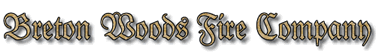 bretton woods text logo.gif