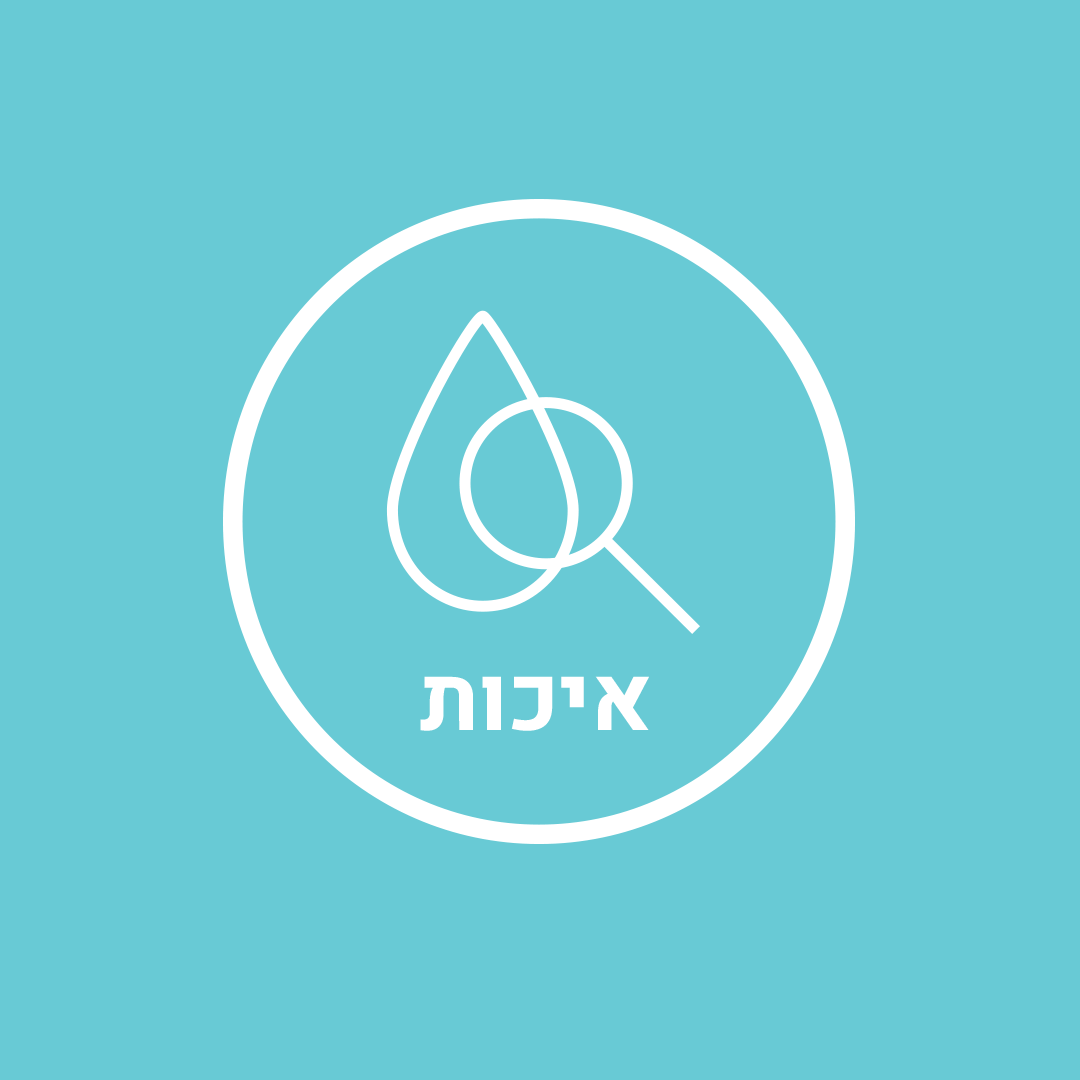 אייקונים לאתר