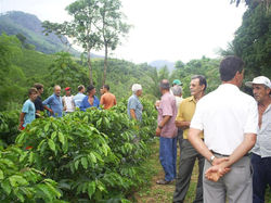 11 S5031667 (Medium)