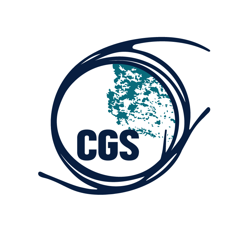 Writer: Institut CGS