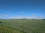 IMG_20210708_125143.jpg