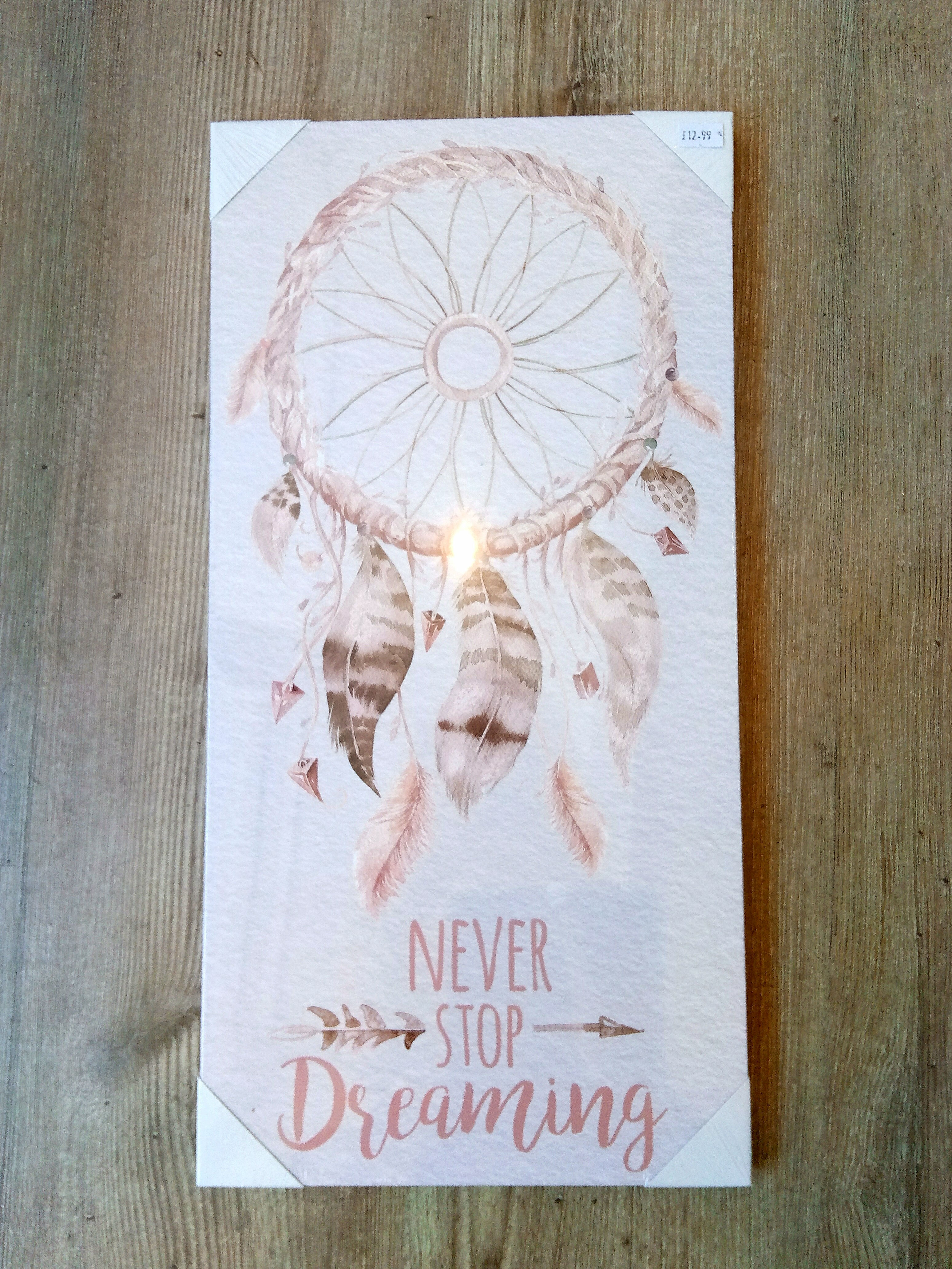 Dream Catcher Canvas Sign