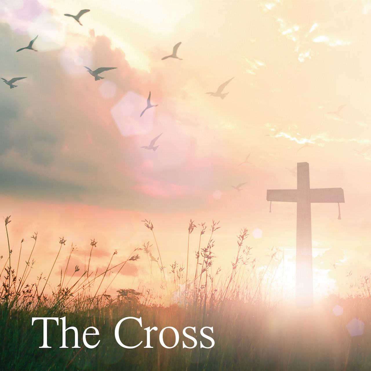 The Cross／中山有太