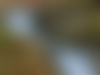 Competition success!! Countryfile calendar next?