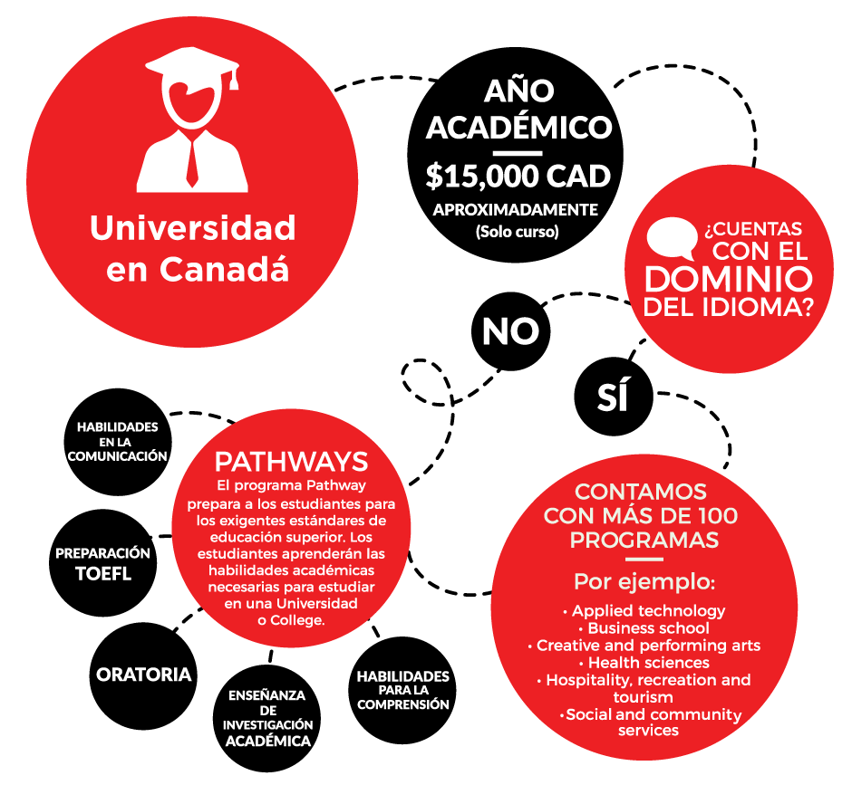 diagram-university.gif