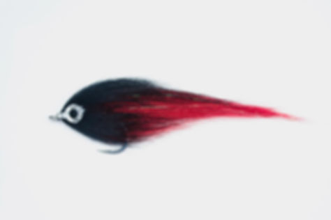 Mucha Black & Red UV - saltwater baitfish - killer na tropiki
