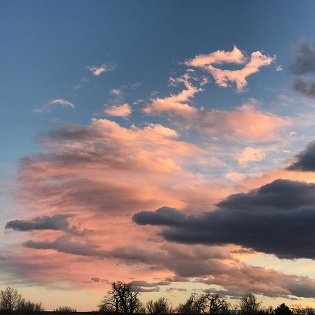 pink_16.8.jpg