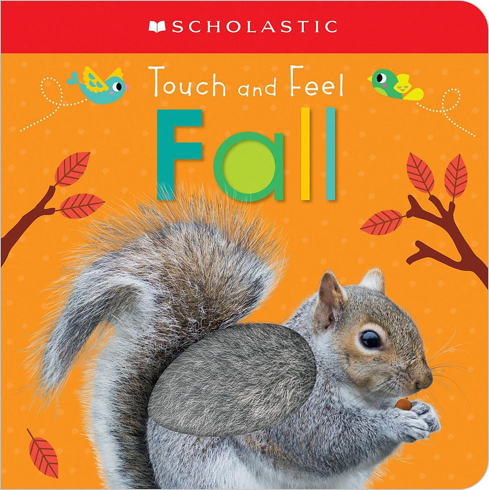 Touch and Feel Fall Illustrated By: Scott Barker Publisher: Scholastic (2019, 2022)