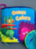 Ocean Colors Publisher: KidsBooks, LLC (2016)