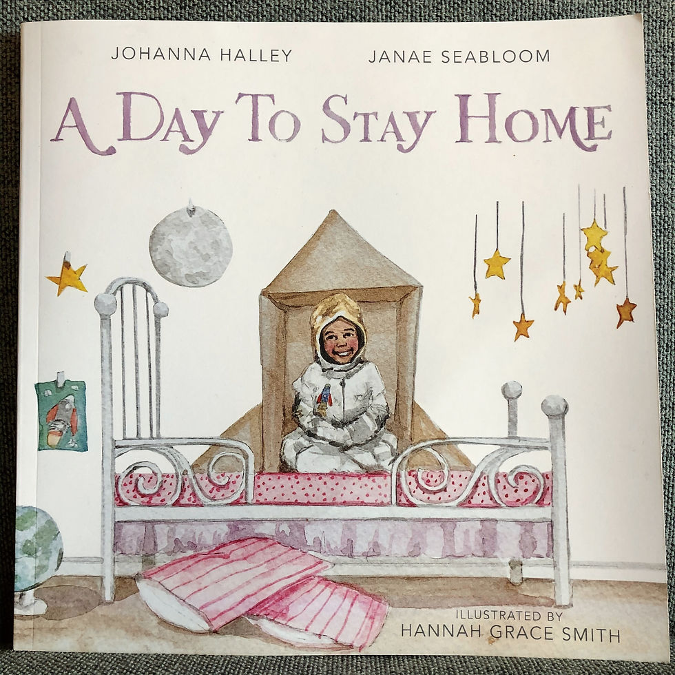 A Day To Stay Home by Johanna Halley and Janae Seabloom
