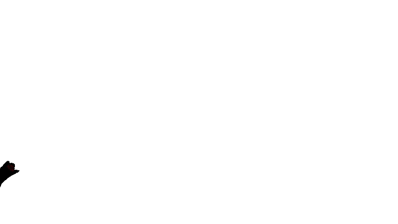 Chatmoulinrougelumiere-ezgif.com-video-to-gif-converter.gif