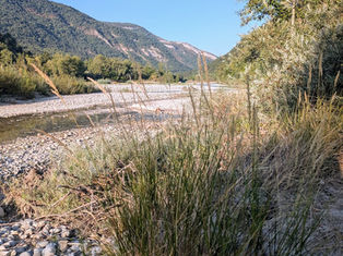 Le royaume secret de la rivière