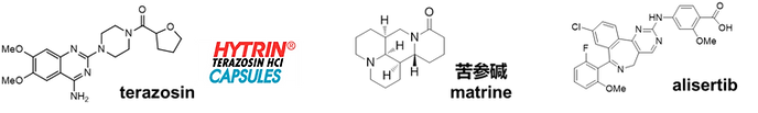 fig 4.png
