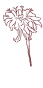 flowering_edited.png