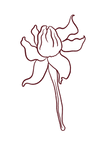 flowering_edited.png