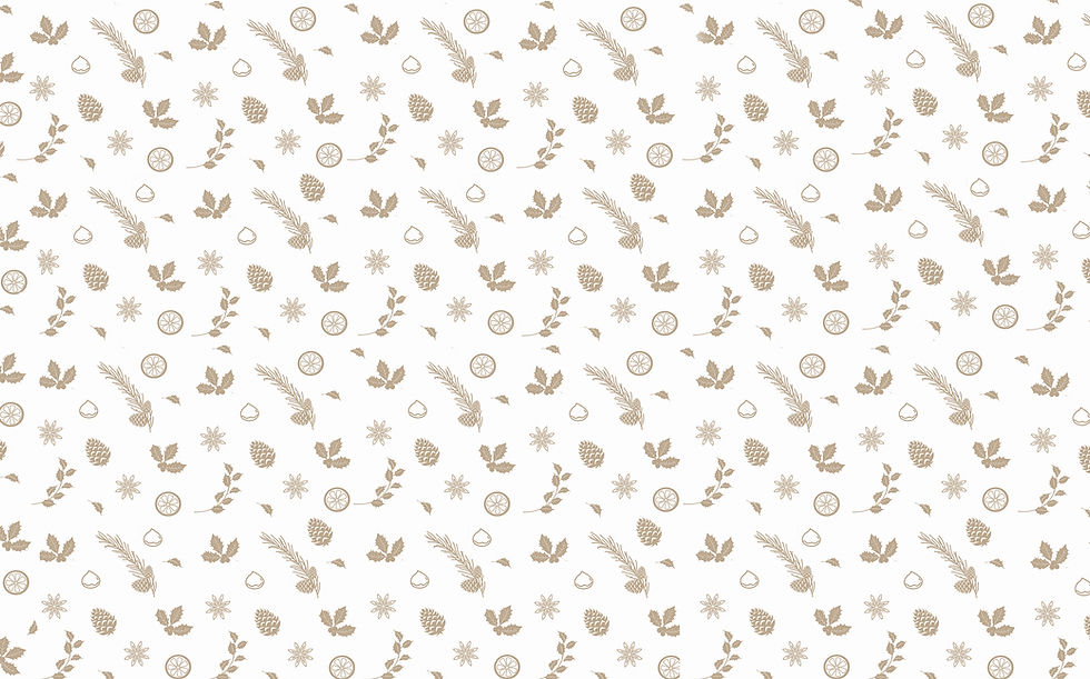 WHITE_END PAGES_XMAS PATTERN_WEB.jpg