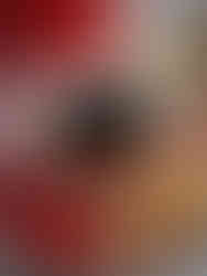 espresso coffee in a red tea cup and saucer with taralli biscuits on the side