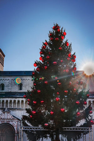 a large pine cone christmas tree with red baubles with a historic building behind it. The sun shines bright with a lens flare.