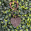 Thumbnail: Heart- Shaped Luxury Keychain