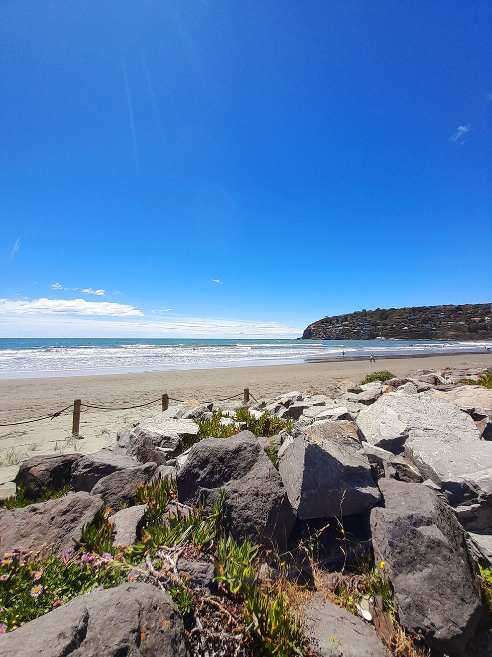 NZ, Musical Guides, gigs