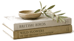 books_bowl_olive_sprig_edited.png