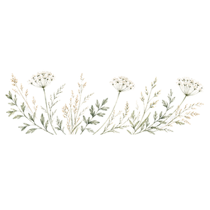 delicate_wildflower_border_illustration_transparent.png